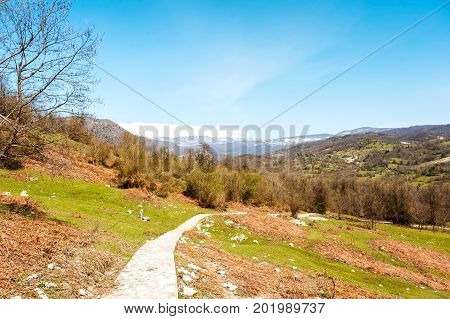 Landscape with snowy mountains and valley on blue cloudy sky background in Okatse canyon. Georgia Caucasus. Multicolored summertime outdoors horizontal image.