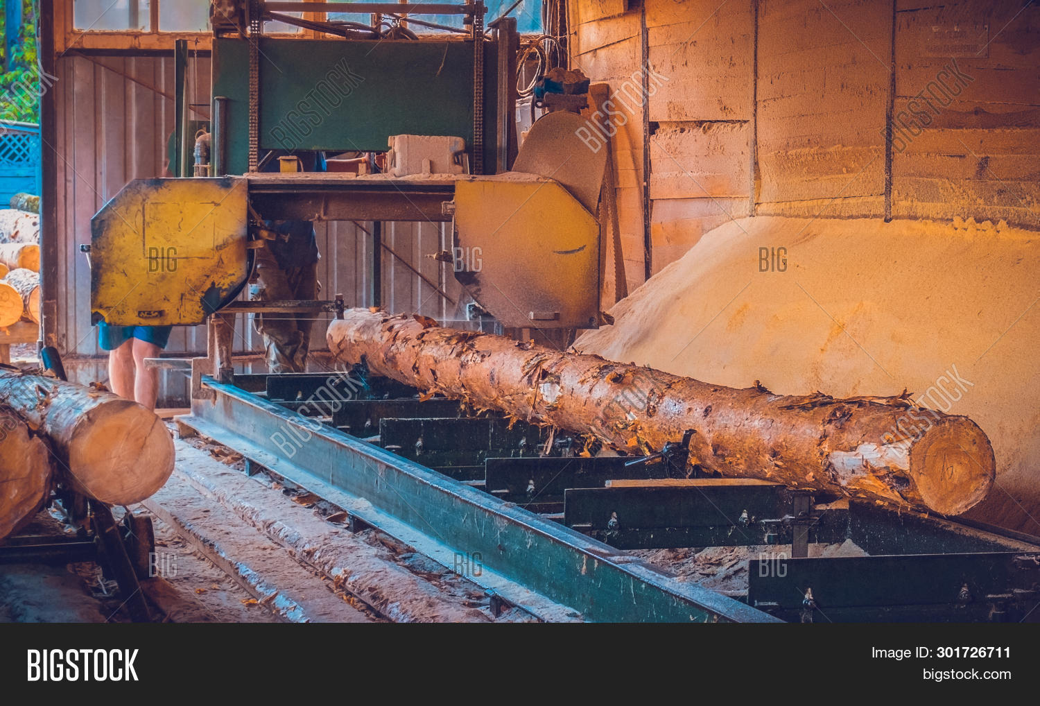 Sawmill. Process Image & Photo (Free Trial) Bigstock