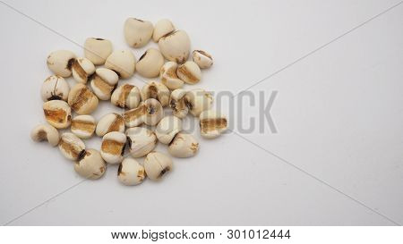 Job's Tears, Also Known As Adlay And Coix On White Background. Popular In Asian Cultures As A Food S