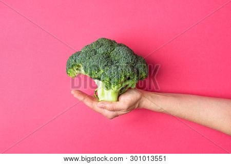 Young Caucasian Woman Girl Holds In Stretched Hand Raw Broccoli On Pink Background. Healthy Plant Ba