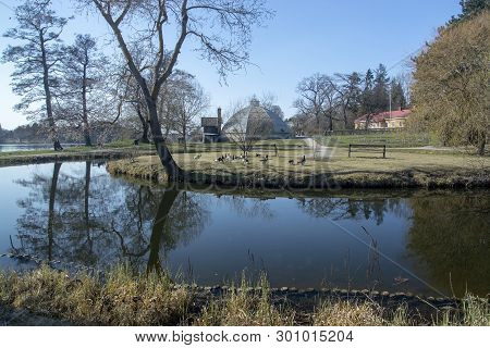 Stockholm, Sweden - April 20, 2019: Water Reflections Geese And Greenhouse At Bergianska Gardens On 