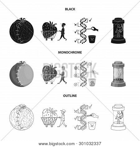 Vector Design Of Test And Synthetic Icon. Set Of Test And Laboratory Vector Icon For Stock.