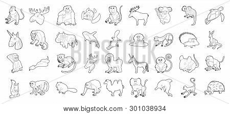 Animals Icon Set. Outline Set Of Animals Icons For Web Design Isolated On White Background