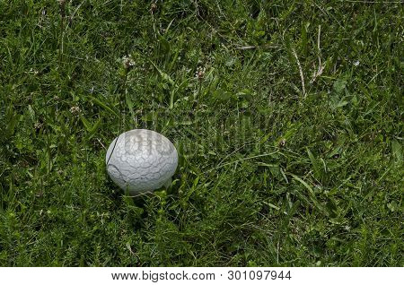 Mosaic Puffball Calvatia Utriformis Growing In Springtime Field With Green Grass, Plana Mountain, Bu