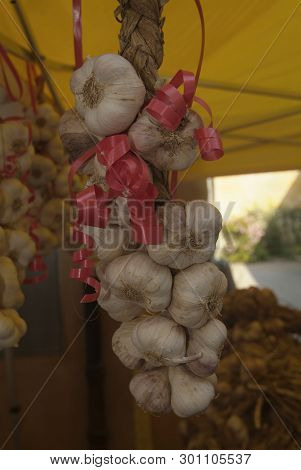 Bunches Of Onions Hanging From The Ceiling In A Barn.