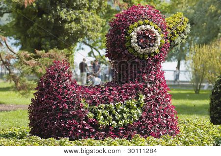 花動物