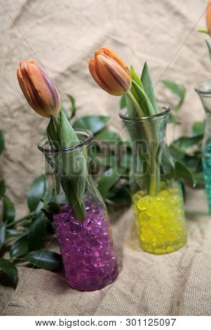 Blooming Flower Buds . Close Up, Macro. With Juta Background.