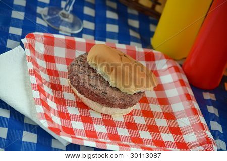 Picnic Burger