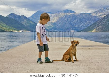 A Little Boy Met A Puppy On The Pier. The Kid Rejoices At This Meeting, Looks Interested At The Dog 