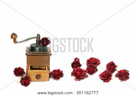 Manual Coffee Grinder With Roses On A White Background. Antiquary