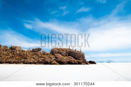 Beautiful sunshine Cactus island lsndscape, Salar de Uyuni