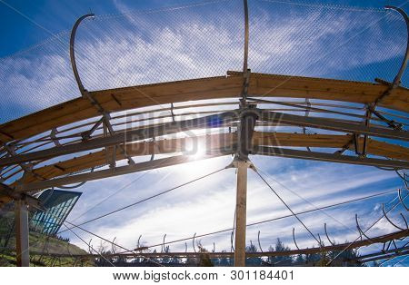 Alpine coaster in beautiful nature