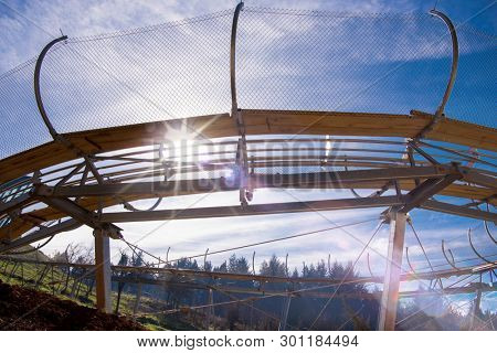 Alpine coaster in beautiful nature