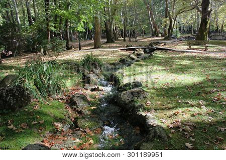 Agios Nikolaos Park Naousa Greece Europe