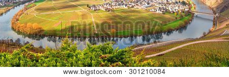 Panoramic View Of The Moselle, Here Forms The Narrow Moselle Loop Around The Town Of Trittenheim.