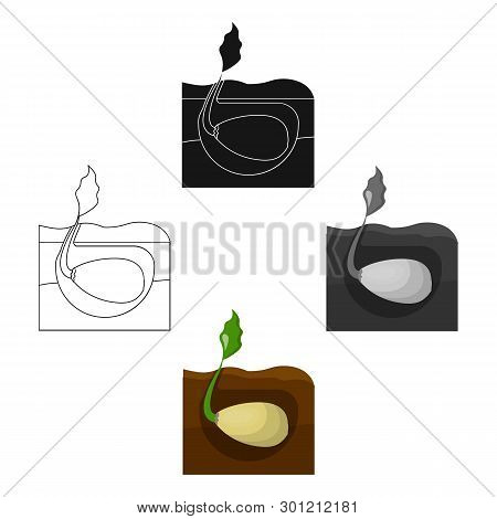 Root, Single Icon In Cartoon, Black Style .root Vector Symbol Stock Illustration Web.