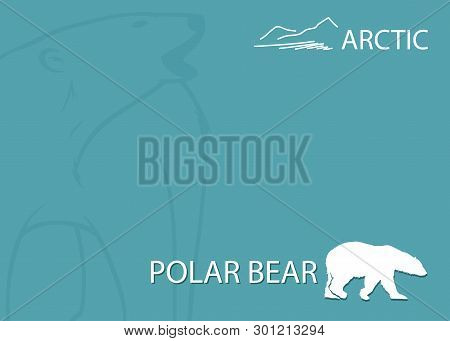 Polar Bear Background - Vector Illustration - Vector