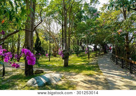 Tainan, Taiwan - April 13, 2019 : Sicao Dazhong Temple. Tainan Sicao Green Tunnel Ecological Park.