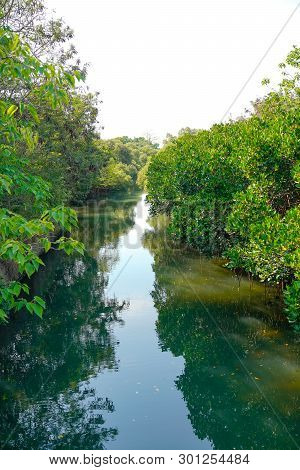 Sicao Green Tunnel Ecological Park. Tainan, Taiwan.