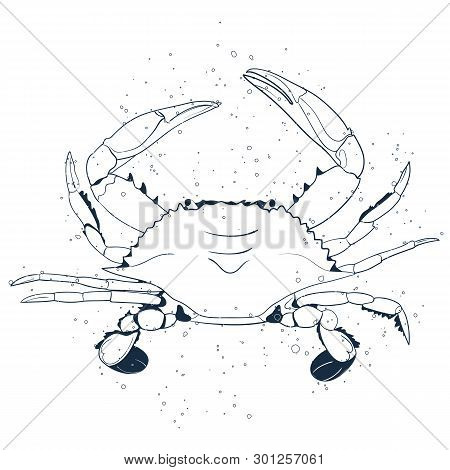 Crab Line Art  With Air Traps Isolated On White Background. Vector Hand Drawn Illustration. Icon Cra