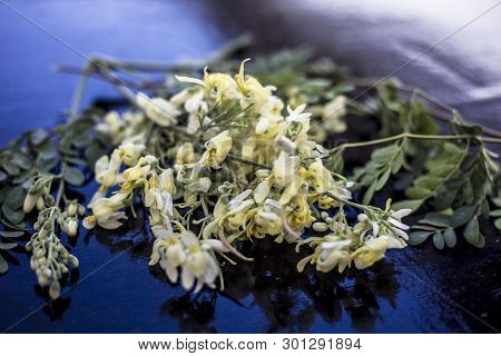 Ayurvedic Herb Drumstick Flowers Along With Some Leaves On Wooden Surface.