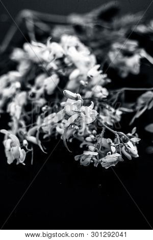 Ayurvedic Herb Drumstick Flowers Along With Some Leaves On Wooden Surface.