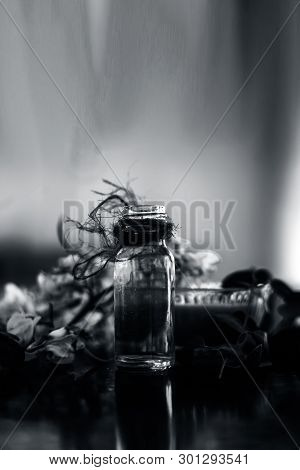 Bunch Of Flowers Of Drumstick On Wooden Surface Along With Its Extracted Essential Concentration Or 
