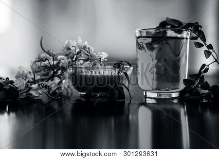 Bunch Of Flowers Of Drumstick On Wooden Surface Along With Its Extracted Water Or Tincture In A Glas