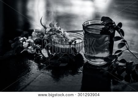 Bunch Of Flowers Of Drumstick On Wooden Surface Along With Its Extracted Water Or Tincture In A Glas