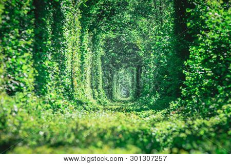 a railway in the spring forest tunnel of love