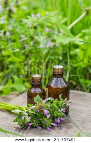 Two Pharmaceutical Bottle Of Medicine From Thymus Vulgaris, Common Thyme, German, Garden Or Just Thy