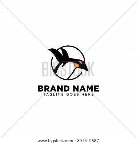 Penguin Logo Design Template Vector Illustration Icon Element