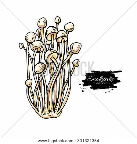 Enokitake Mushroom Hand Drawn Vector Illustration. Sketch Food Drawing