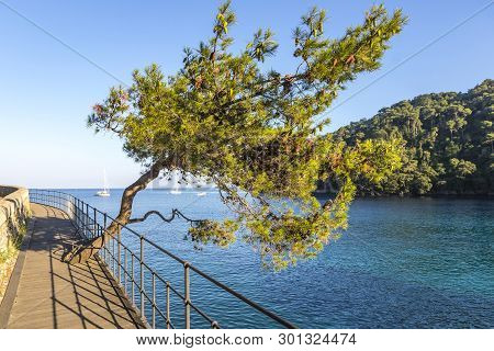 Beautiful Natural View Of The Bay Of Paraggi In Santa Margherita Ligure, Mediterranean Seacoat Near 
