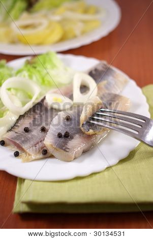 Solených sleďů