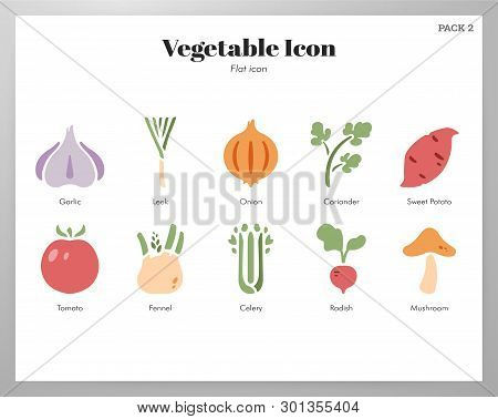 Vegetable Vector Illustration In Flat Color Design