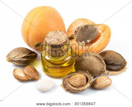 Apricot kernel oil and apricot kernels isolated on the white background.
