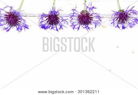 Blue Cornflowers Flower On White Rustic Wooden Boards. Copy Space. Mothers, Valentines, Womens, Wedd