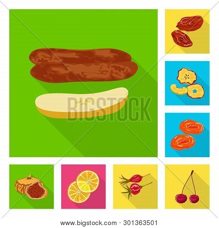 Isolated Object Of Fruit And Dried  Logo. Set Of Fruit And Food  Vector Icon For Stock.