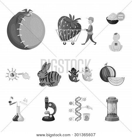 Vector Illustration Of Transgenic And Organic Sign. Set Of Transgenic And Synthetic Vector Icon For 