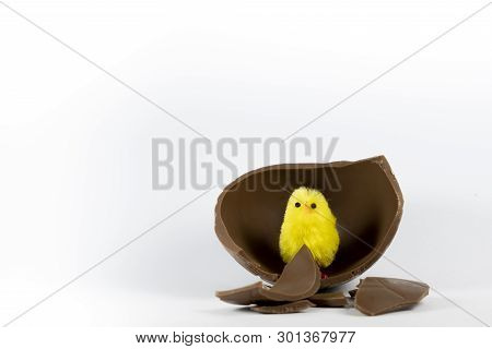 Easter Chick