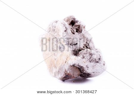 Macro Mineral Phlogopite Stone On A White Background