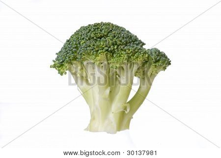 Brocolli isolado no fundo branco.