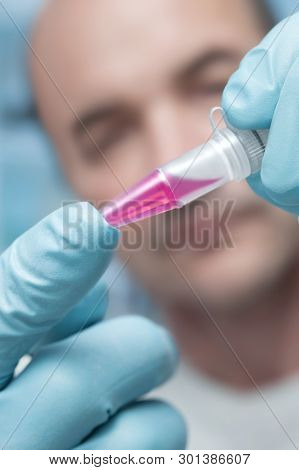 Scientist Or Tech Holds Liquid Biological Sample In Gloved Hands. You Can Put Your Label On The Tube