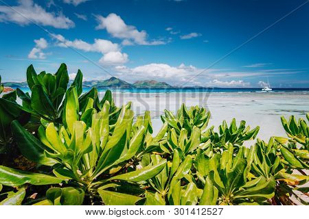 Tropical Plants At Famous Anse Source Dargent Beach On Island La Digue In Seychelles. Praslin Island