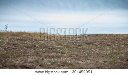 Port Joinville, France - September 16, 2018: Architecture Detail Of The Corbeaux Lighthouse On The I