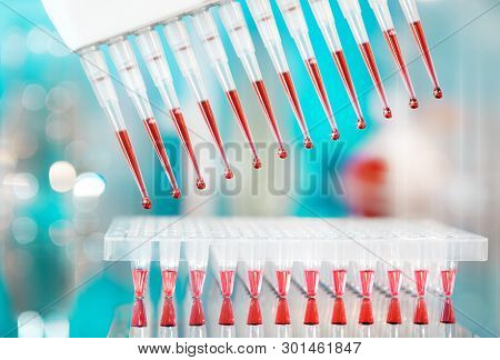 Multichannel Pipette And Multiwell Plate For Dna Amplification, Shallow Dof