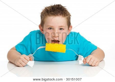 소년은 개 암 나무 열매에 옥수수를 먹는입니다.