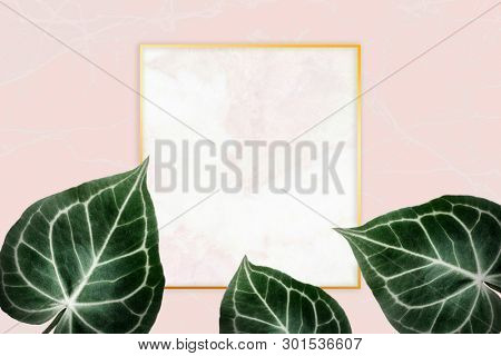Square golden nature frame on a pink background