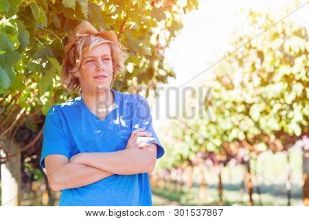 Guy Standing With Arms Folded Posing In Vineyard. Young Winegrower In Vine Row. Portrait Of Blond Fa